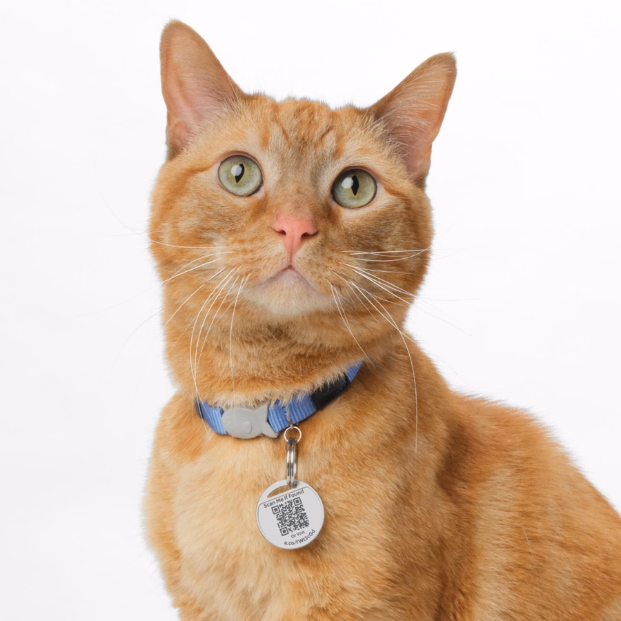 Pet Tag