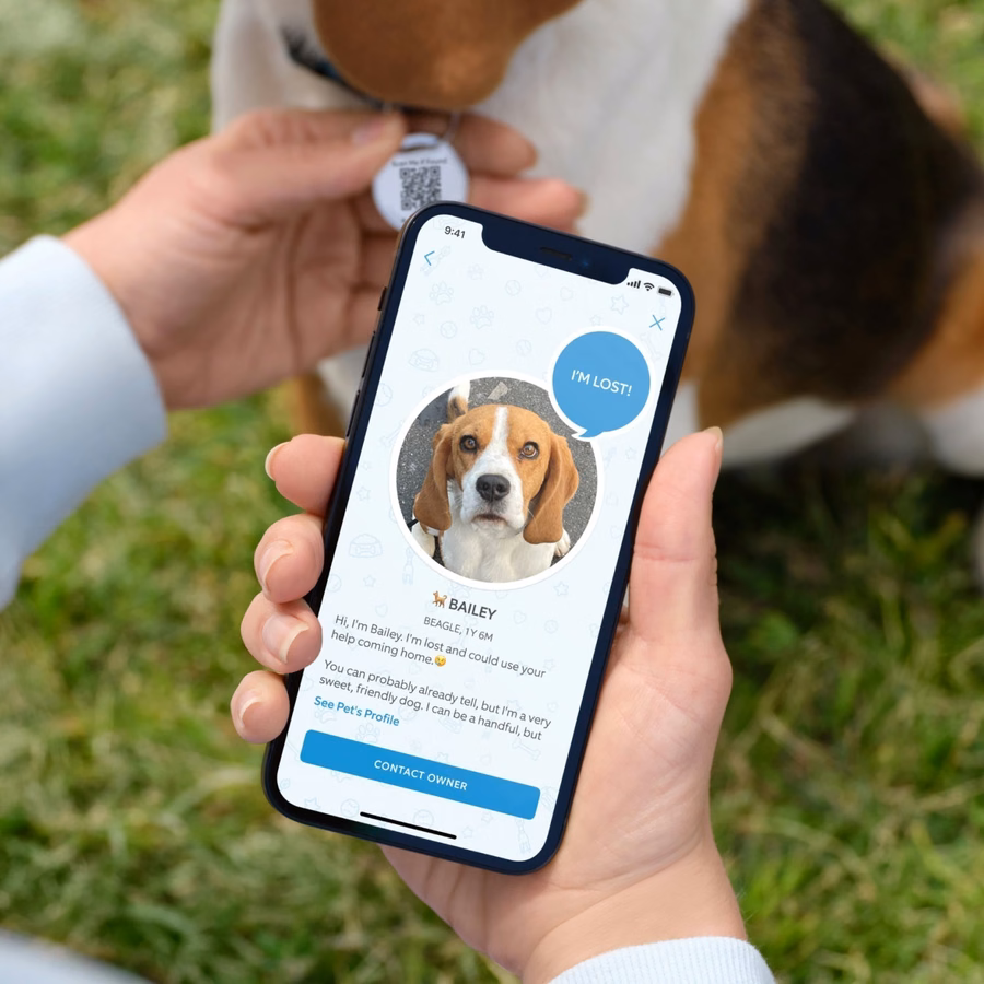 Pet Tag